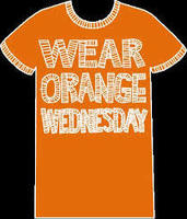 Wear Orange Wednesday!