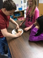 6th Grade and Fish Dissection!